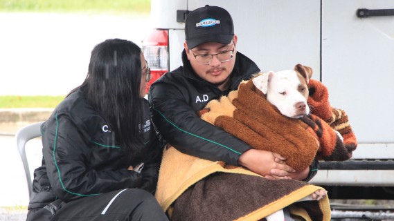 Castra Pet